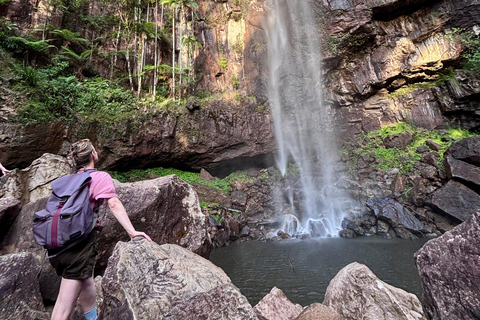 Byron Bay: Luciérnagas, Cascadas y Experiencia en la Selva Tropical