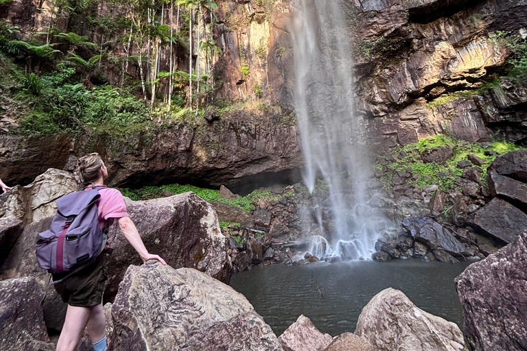 Byron Bay: Luciérnagas, Cascadas y Experiencia en la Selva Tropical