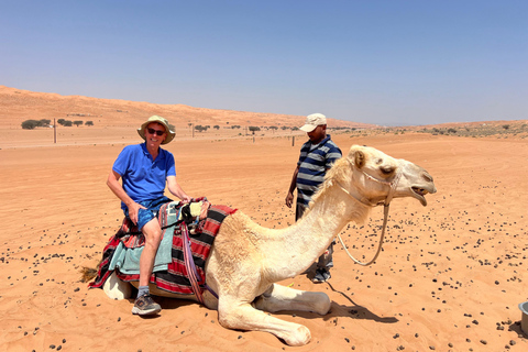 Muscat: Wahiba Sands, Wadi Bani Khalid & Mudayrib Tour Private Tour – Bidiya & Wadi Bani Khalid (4x4 Vehicle)
