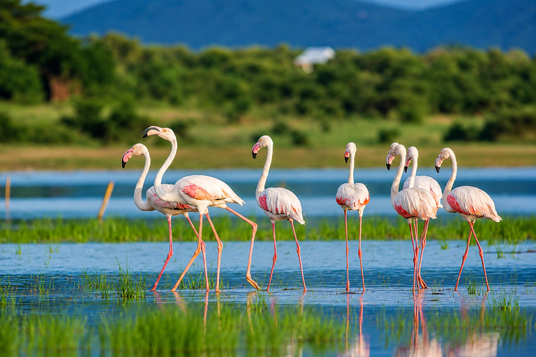 From Arusha: Lake Babati Day Trip with Boat Ride