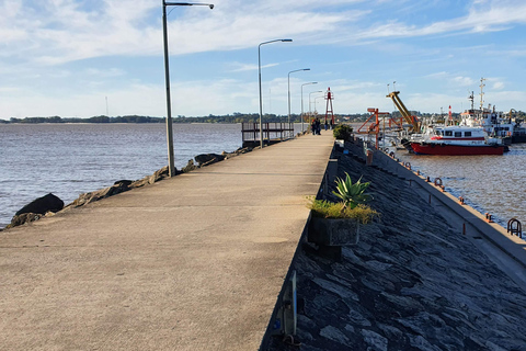 City Tour a Colonia del Sacramento: Tras las Huellas de la Historia