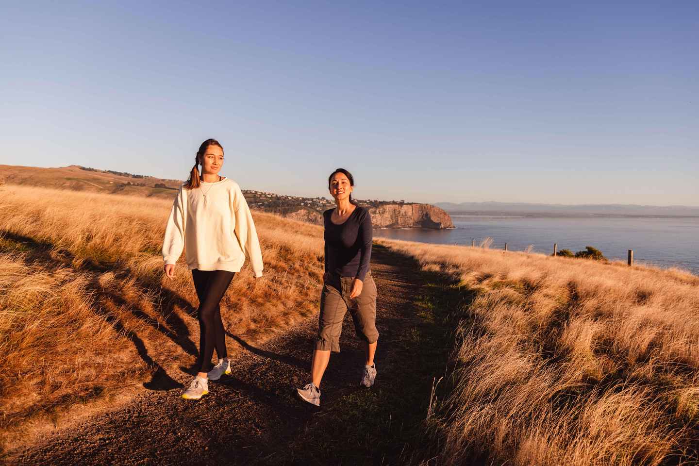 Christchurch: Godley Head & Lyttelton Guided Walking Tour - Half-Day Godley Head Small Group Tour