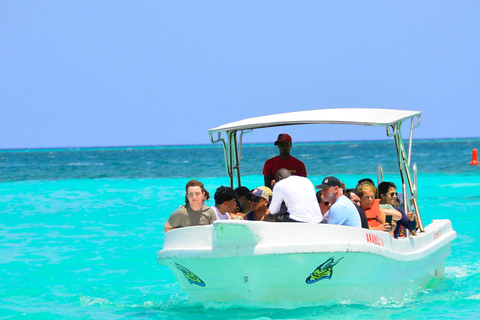 Punta Cana: Saona without the Crowds – 4-Beach Speedboat Sightseeing Tour and Lunch