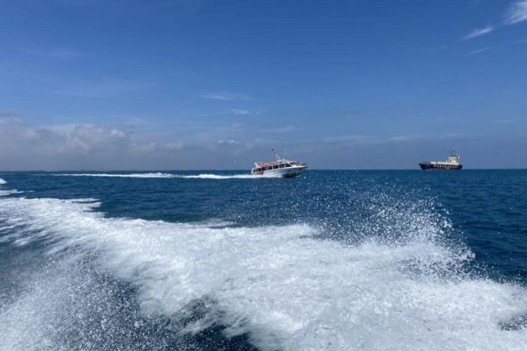 Snorklingstur med motorbåt på Chamöarna : Hoi An / Da NangDa Nang hämtning