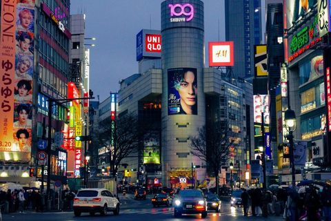 Tokyo Full Day Private Sightseeing Tour with English Driver