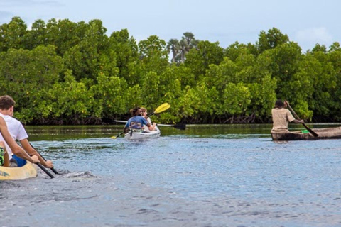 Jozani Forest, Butterfly Center & Kayaking At UZI ISLAND. PRIVATE Tour no Transfer/Transport included