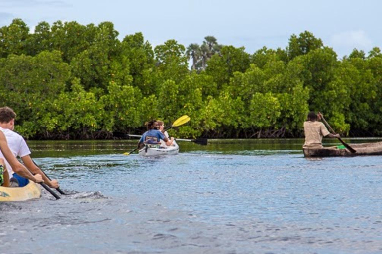 Jozani Forest, Butterfly Center & Kayaking At UZI ISLAND. PRIVATE Tour no Transfer/Transport included