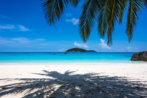 Depuis Krabi : Excursion d&#039;une journée en hors-bord dans les îles SimilanVisite d&#039;une journée à Join In avec transfert