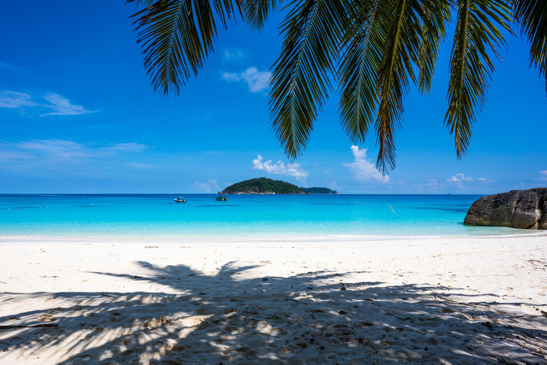 Depuis Krabi : Excursion d&#039;une journée en hors-bord dans les îles SimilanVisite d&#039;une journée à Join In avec transfert