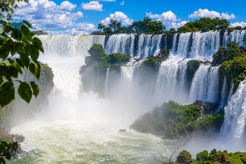 Full-Day Tour of the Falls from Brazil and Argentina, and Macuco Safari