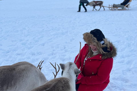 Tromsø: Reindeer Camp Visit & Aurora Chase