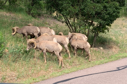 Colorado Springs: Garden of the Gods Luxury Jeep Tour Private Experience
