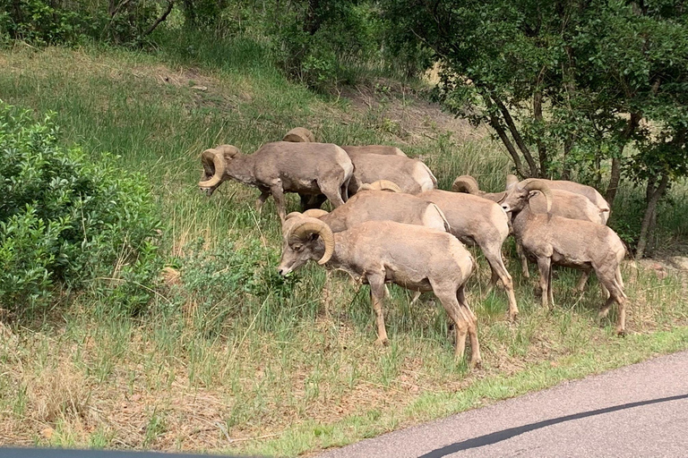 Colorado Springs: Garden of the Gods Luxury Jeep Tour Private Experience