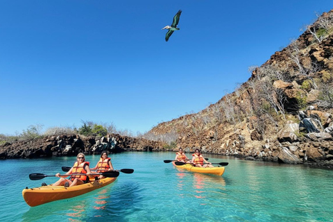 North Santa Cruz - Kayak, SUP, Snorkel and Relax - Galápagos Galapagos Islands: Punta Carrion Kayak - Sup & Snorkel Tour