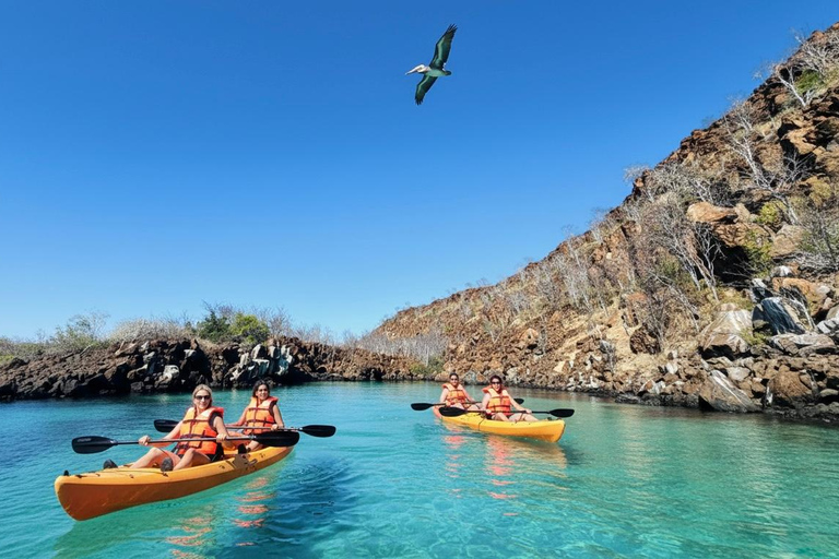 North Santa Cruz - Kayak, SUP, Snorkel and Relax - Galápagos Galapagos Islands: Punta Carrion Kayak - Sup & Snorkel Tour