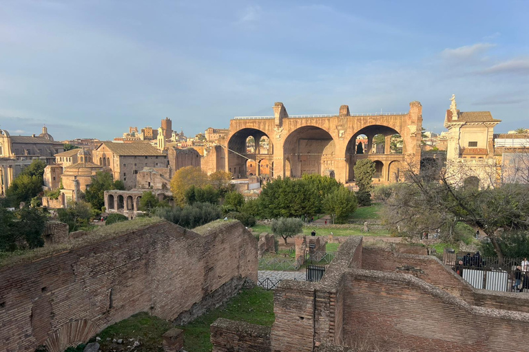 Small Group Guided Tour Colosseum Roman Forum, Palatine Hill Standard Tickets