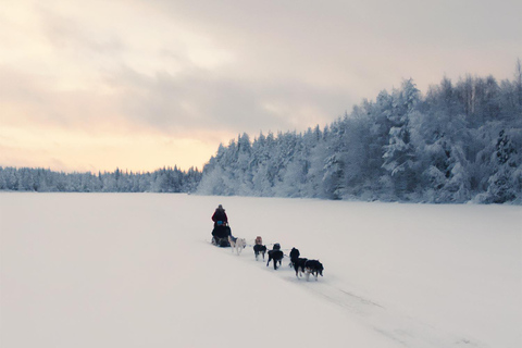 Nulkki Husky Adventure
