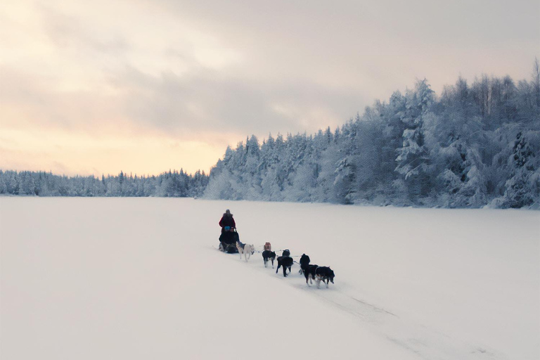 Nulkki Husky Adventure