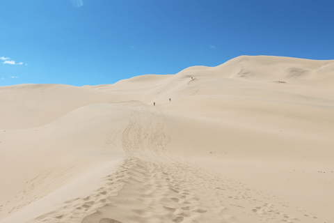 MONGOLIA SOUTH GOBI DESERT: 6 Day Exclusive Private Tour