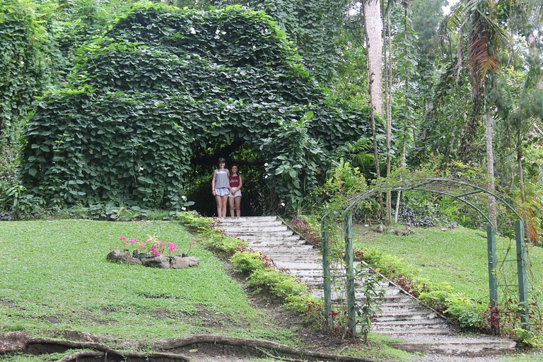 Jardin d&#039;orchidées de Nadi, randonnée dans les cascades avec source d&#039;eau chaude et bain de boueFidji Marriott/Queens Wharf Lautoka/Prise en charge au Tanoa Waterfront