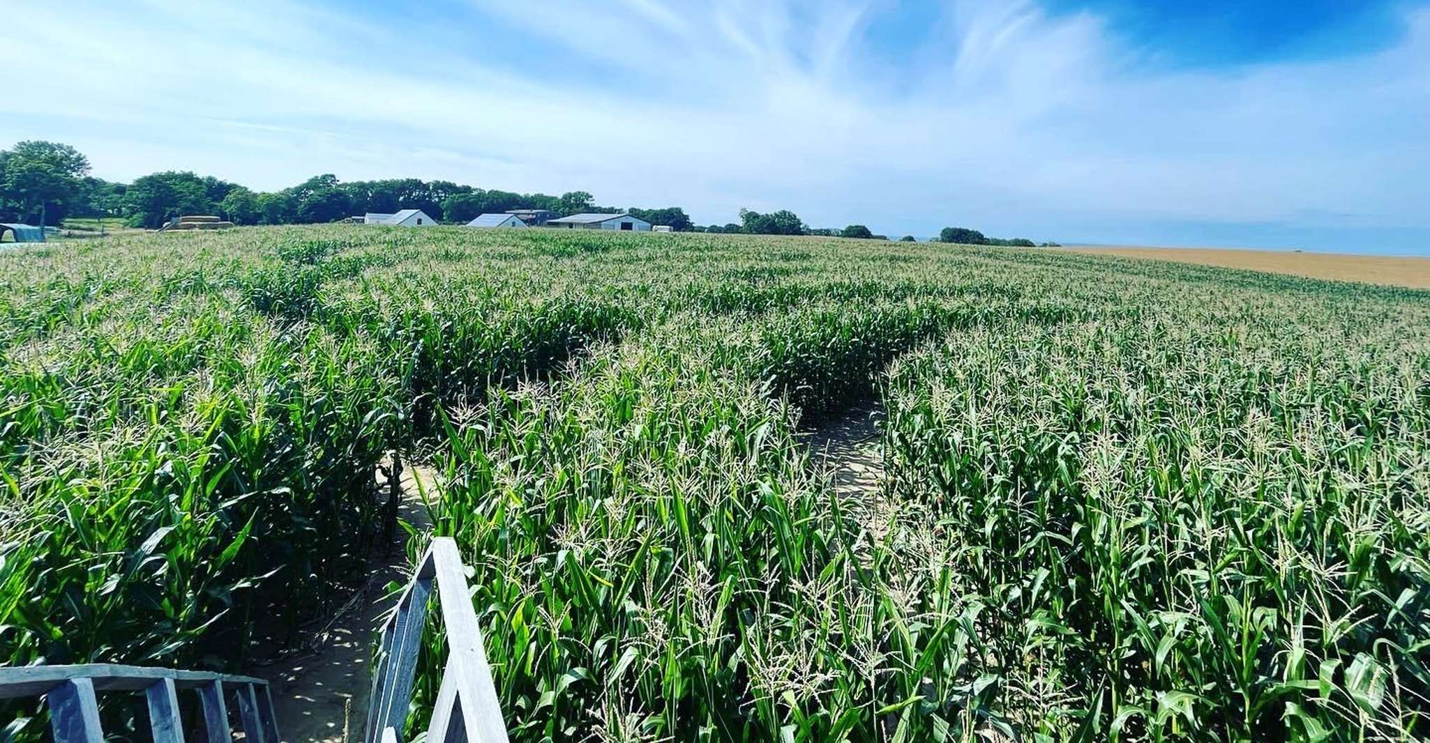 Rügen, Largest corn maze on the island - Housity