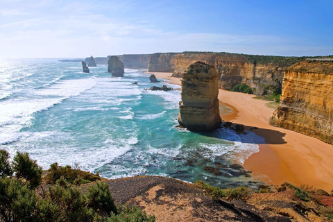 Från Melbourne: Heldagsutflykt till Great Ocean RoadFrån Melbourne: Heldagsutflykt på &quot;Great Ocean Road&quot;