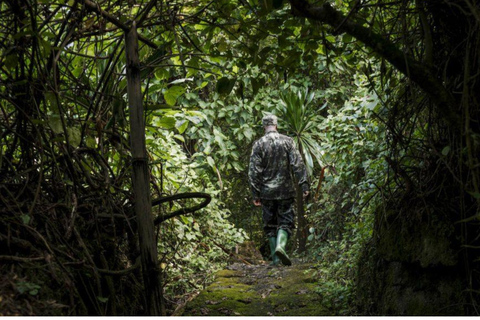 Ancient Kings, Buhanga Sacred Forest & Musanze Caves Tour