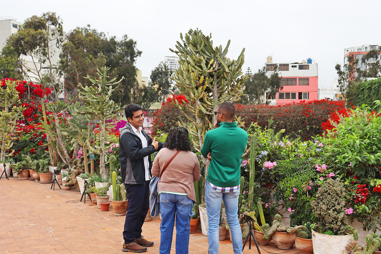 Lima: tour della città, pranzo e museo Larco inclusi