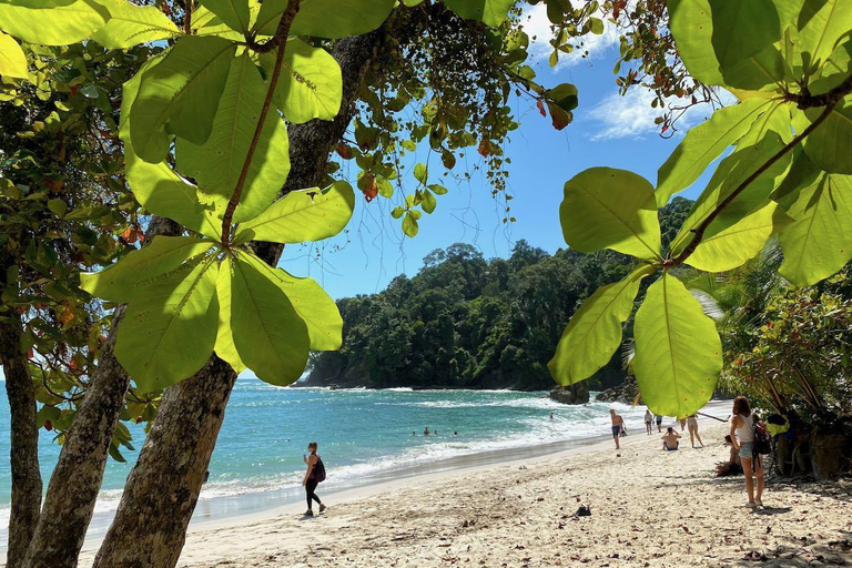 Manuel Antonio: Surfinglektioner för alla - Costa Rica