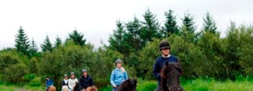 From Reykjavik: Full-Day Horse Riding & Golden Circle Tour