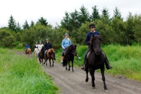 Desde Reikiavik: cabalgatas de día completo y tour al Círculo DoradoExcursión a caballo de todo el día y recorrido del Círculo Dorado, incluye recogida