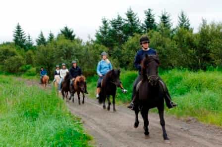 from reykjavik fullday horse riding golden circle tour