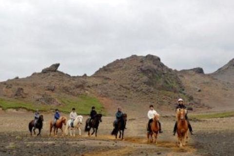 From Reykjavik: Full-Day Horse Riding & Golden Circle Tour Full-Day Horse Riding & Golden Circle Tour - Pickup Included