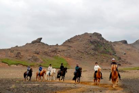 Da Reykjavik: tour di un&#039;intera giornata a cavallo e del Golden CircleTour a cavallo e del Circolo d&#039;Oro - Pickup incluso