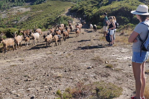 GIORNATA INTERA - PARCO DI ALVAO - CASCATE DI FISGAS ERMELO CON TRASFERIMENTOGIORNATA INTERA - PARCO DI ALVÃO - CASCATE DI FISGAS ERMELO CON TRASFERIMENTO