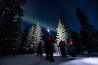 Ruka, Northern Light Hunt by Minivan - Housity