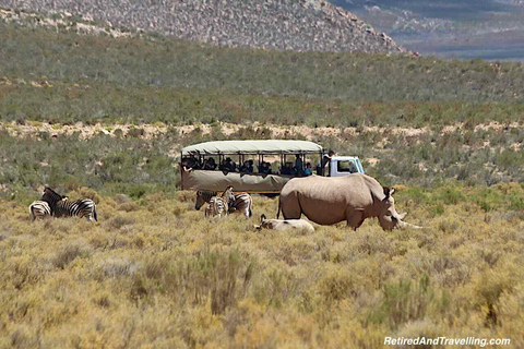Cape Town: Aquila Big Five Safari with Private Transfers Sunset Safari