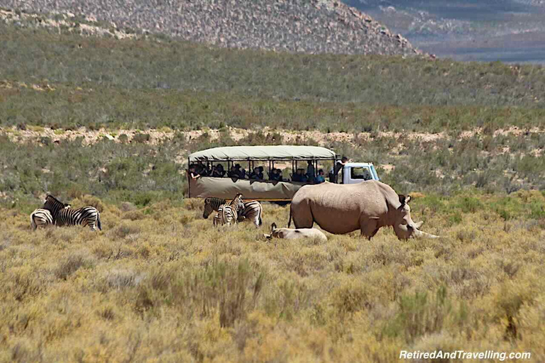 Cape Town: Aquila Big Five Safari with Private Transfers Sunset Safari