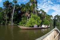 Тур по рыбалке и приключениям в джунглях 5 дней - Housity