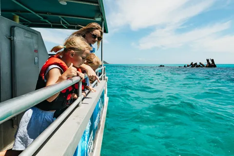 Moreton Island: Tangalooma Day Trip Marine Discovery Cruise