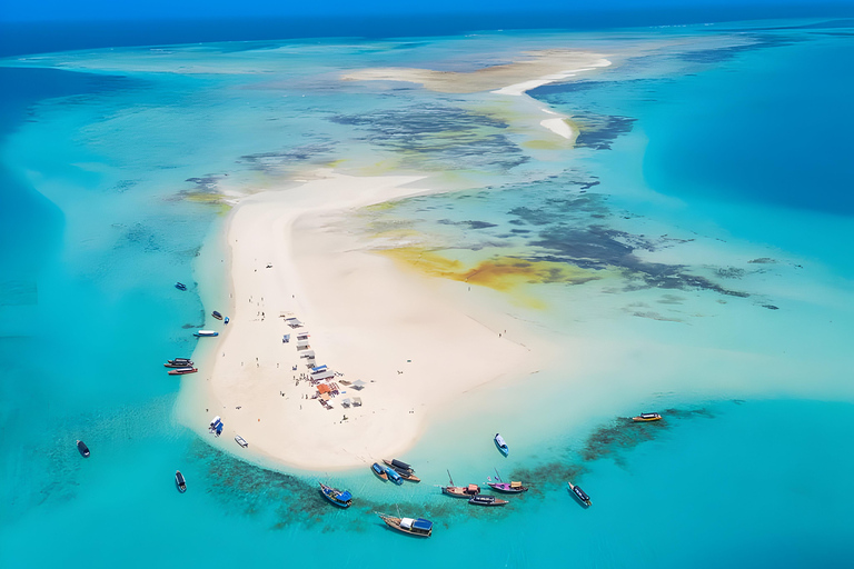 Zanzibar: Mnemba Island Snorkeling Trip with Dolphin … Tour With Meeting Point At Mama Mia Restaurant Beach Side