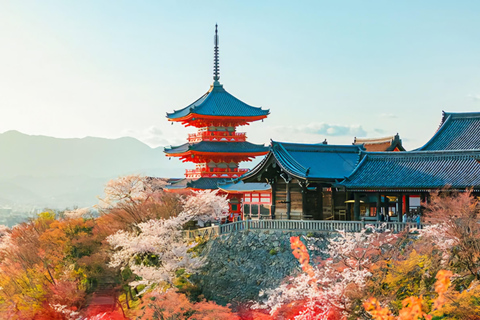 Kyoto & Nara: Custom Private Day Trip with Car & Guide Kyoto & Nara: Upto 12 Pax with Spacious Toyota HiAce