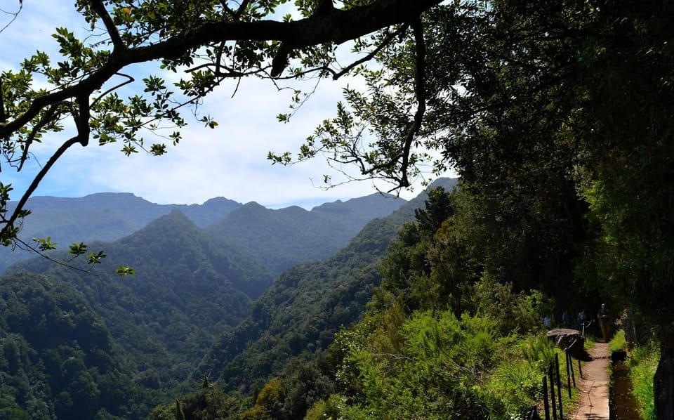 Madeira Wandeltocht Levada Do Rei Ribeiro Bonito Getyourguide