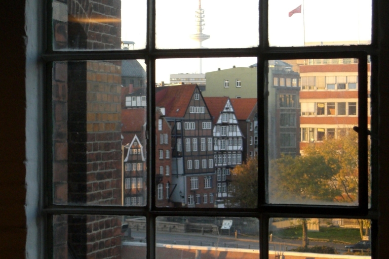 Hamburg: Town Hall, Speicherstadt, and HafenCity Tour Private Tour in German