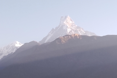 Von Pokhara: 7 Tage Budget-Backpacker-Gruppe ABC Trek