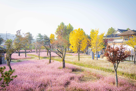 From Seoul: Autumn Instagrammable TourShared Tour, Meet at Myeongdong