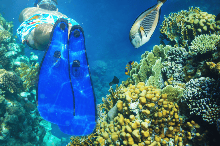 Nusa Penida: Snorkeling con le mante e la barriera corallinaGita privata: Snorkeling a Manta Bay