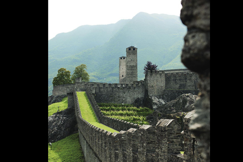 3 Privately Guided Swiss Travel Pass Train Tours from Zurich Group of 8 Excluding Train Tickets
