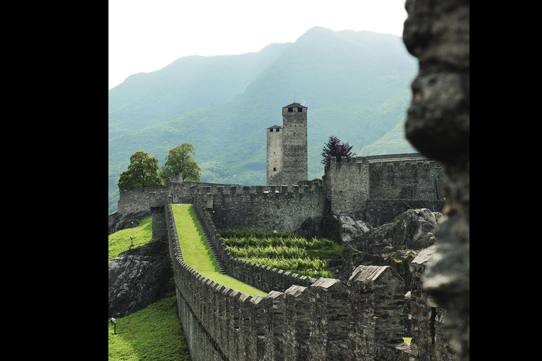 3 Privately Guided Swiss Travel Pass Train Tours from Zurich Group of 8 Excluding Train Tickets