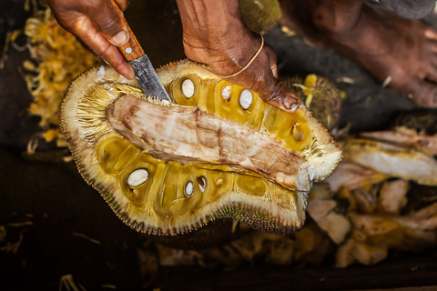 Mombasa Meals Food Tour with 15+ Tastings